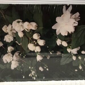 NEW white roses Photograph 8x10in canvas wrap print of white roses